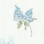 Brewster White, Blue, Green, Pink Rose, Hydrangea, Toile Wallpaper - FD45764