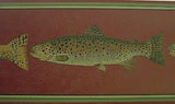 York Fish Wallpaper Border - HU6254B
