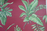 Red Tropical Plants Wallpaper - TG2307