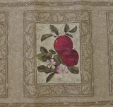 Designer Fruit Wallpaper Border - 92901FP