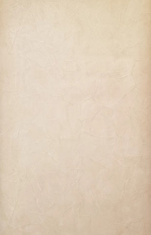Warner Cream Faux Textured Plaster Wallpaper - PAL.8072