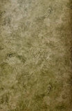 Warner Tone on Tone Green Marble wallpaper - SYL8216