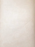 Carey Lind Light Grey w/Twigs Wallpaper - TG2335