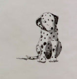 Carey Lind Dalmatian Puppy Wallpaper - TY7673
