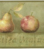 York Green Faux w/ Pears & Apples Wallpaper Border - YR9424B